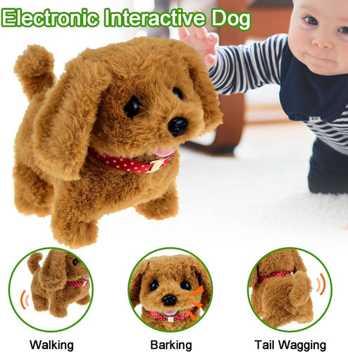 Toy dogs for - 1-6, old