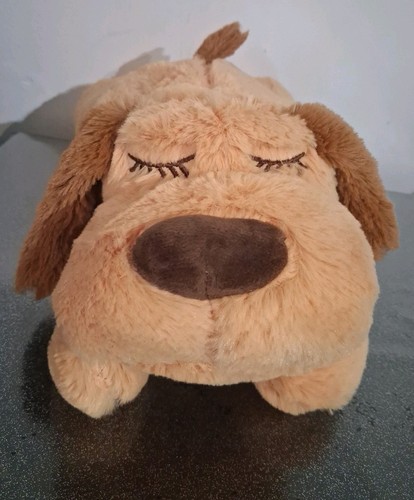 Brown sleeping puppy - brown,
