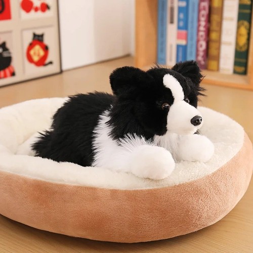 Chase border collie - chase, toy