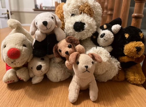 Dog teddies various - 9,
