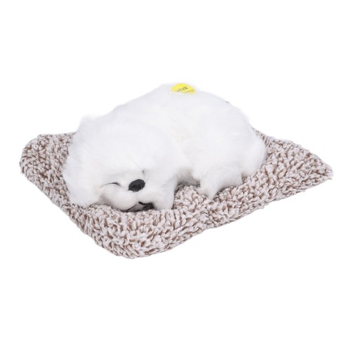 Realistic sleeping dog cute - dog,