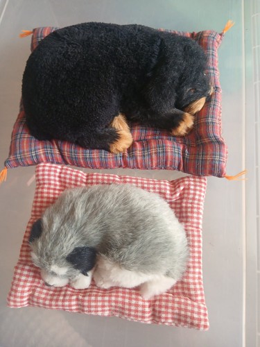 Sleeping realistic dog - dog, toy
